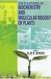 Cover Encyclopaedia Of Biochemistry And Molecular Biology Of Plants
