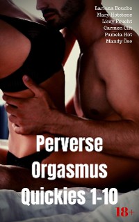 Cover Perverse Orgasmus Quickies 1-10
