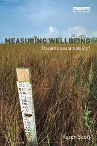 Cover Measuring Wellbeing: Towards Sustainability?