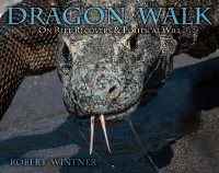 Cover Dragon Walk
