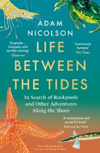 Cover Life Between the Tides