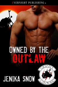 Cover Owned by the Outlaw