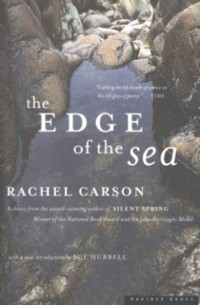 Cover Edge of the Sea