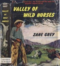 Cover Valley of Wild Horses
