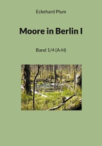 Cover Moore in Berlin I