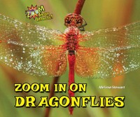 Cover Zoom in on Dragonflies