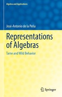 Cover Representations of Algebras
