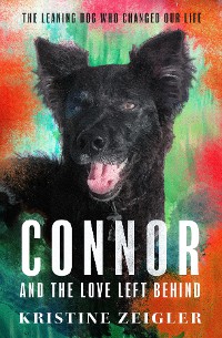 Cover Connor and The Love Left Behind