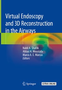 Cover Virtual Endoscopy and 3D Reconstruction in the Airways