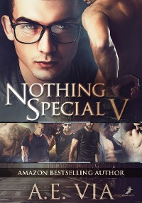 Cover Nothing Special V