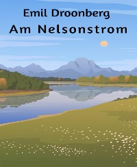 Cover Am Nelsonstrom