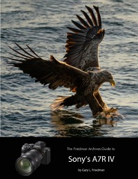 Cover Friedman Archives Guide to Sony's A7R IV