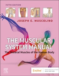 Cover Muscular System Manual - E-Book