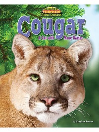 Cover Cougar