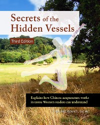 Cover Secrets of the Hidden Vessels