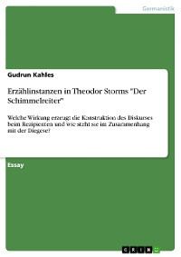 Cover Erzählinstanzen in Theodor Storms "Der Schimmelreiter"