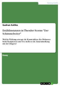 Cover Erzählinstanzen in Theodor Storms "Der Schimmelreiter"