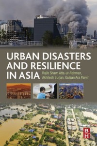Cover Urban Disasters and Resilience in Asia