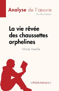 Cover La vie rêvée des chaussettes orphelines de Marie Vareille (Analyse de l'œuvre)