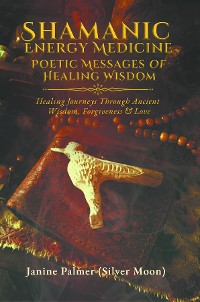 Cover Shamanic Energy Medicine