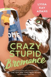 Cover Crazy Stupid Bromance