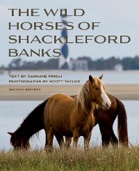 Cover Wild Horses of Shackleford Banks