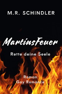 Cover MartinsFeuer