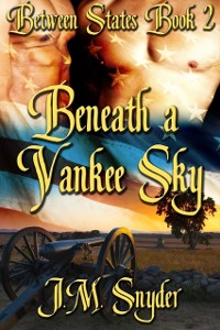 Cover Beneath a Yankee Sky