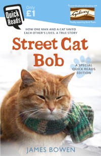 Cover Street Cat Bob