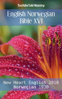 Cover English Norwegian Bible XVI