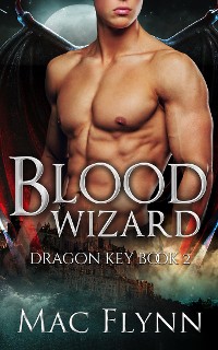 Cover Blood Wizard: Dragon Key Book 2 (Dragon Shifter Romance)