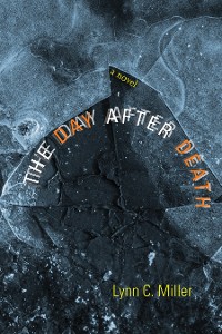 Cover The Day after Death