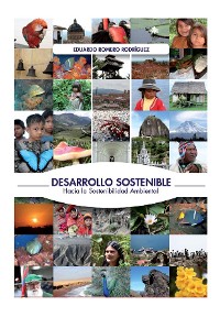 Cover Desarrollo sostenible: Hacia la sostenibilidad ambiental