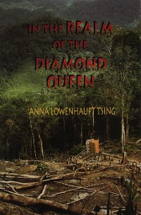 Cover In the Realm of the Diamond Queen