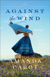 Cover Against the Wind (Secrets of Sweetwater Crossing Book #2)