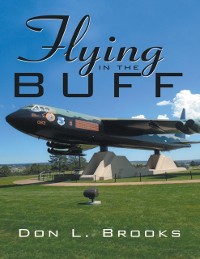 Cover Flying In the BUFF