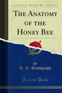 Cover The Anatomy of the Honey Bee