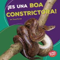 Cover ¡Es una boa constrictora! (It''s a Boa Constrictor!)