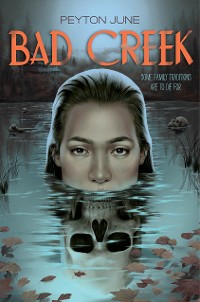 Cover Bad Creek