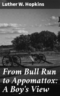 Cover From Bull Run to Appomattox: A Boy's View