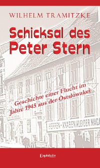 Cover Schicksal des Peter Stern