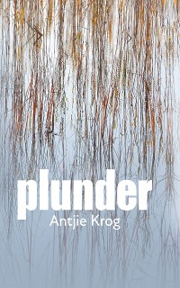 Cover Plunder
