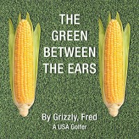 Cover The Green Between the Ears
