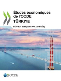 Cover Études économiques de l''OCDE : Türkiye 2023 (version abrégée)