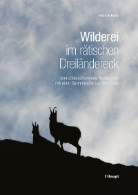 Cover Wilderei im rätischen Dreiländereck