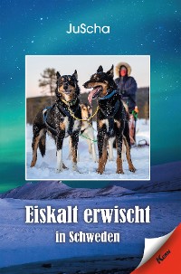 Cover Eiskalt erwischt… in Schweden