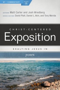 Cover Exalting Jesus in John