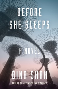 Cover Before She Sleeps