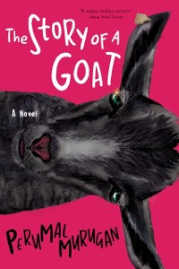 Cover Story of a Goat