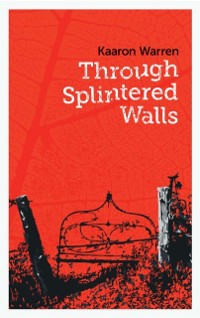 Cover Through Splintered Walls